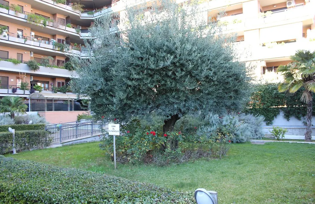 B&B le Pleiadi Aeroporto Fiumicino-1
